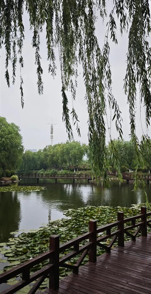 水岸餐厅周边实景